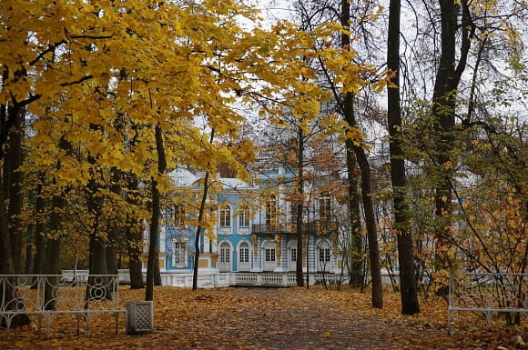 Царское село. г. Санкт-Петербург
